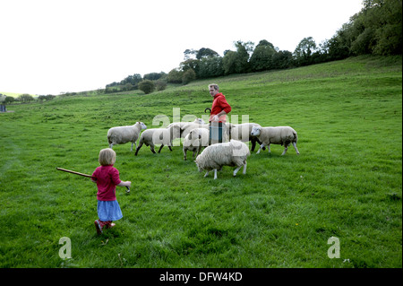 La cría de ovejas en la familia Saddlescombe cerca de la granja de los Diablos Dyke Brighton UK