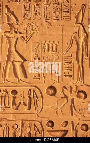 Los antiguos jeroglíficos en las paredes del complejo del templo de Karnak, Luxor, Egipto Foto de stock