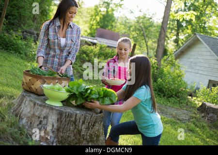 Granja orgánica. Fiesta de verano. Dos niñas y una joven mujer preparando ensaladas y verduras para una comida. Foto de stock