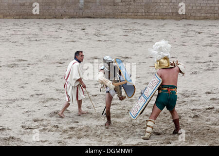 Provocator versus Murmillo, gladiator lucha, lucha de exhibición, Familia Gladiatoria Pulli Cornicinis por Marcus Junkelmann, Foto de stock
