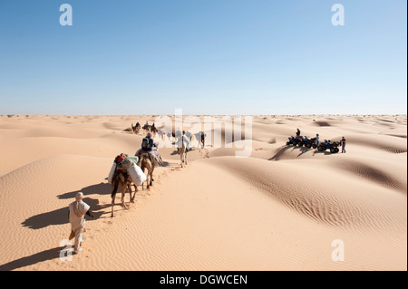 El turismo sostenible, en camello, camellos, dromedarios (Camelus dromedarius), caravana encontrando un grupo de quads, arena Foto de stock