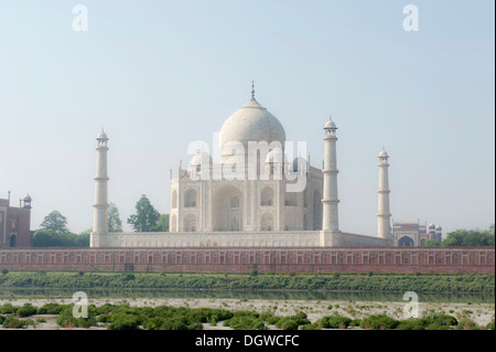 Taj Mahal, vista trasera sobre el río Yamuna, Agra, Uttar Pradesh, India, Asia Meridional, Asia Foto de stock