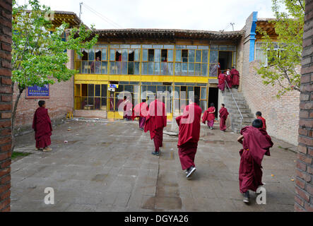 Los jóvenes monjes novicios, los estudiantes en la escuela, un monasterio budista monasterio edificio en el estilo arquitectónico tradicional Foto de stock