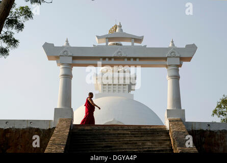 Monje en la túnica de un monje caminando delante de la Stupa de la paz mundial, sobre el buitre pico, importante destino de peregrinación budista, Foto de stock