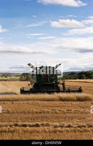 Una cosechadora John Deere cosecha trigo, tarde en Northumberland, Inglaterra, Reino Unido.