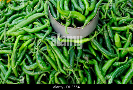 Chile Jalapeño, Capsicum annuum. Chiles verdes para la venta en el mercado. México, Veracruz, Papantla, Foto de stock