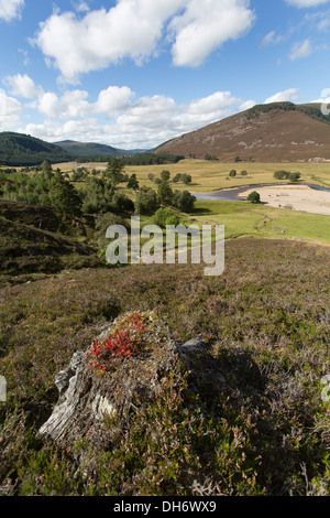 Área de Braemar, Escocia. Vista panorámica del río Dee y Mar Lodge Estate. Foto de stock