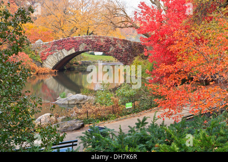 Gapstow Bridge en el Estanque Central Park cubierto de hiedra roja y rodeado de follaje de otoño en la Ciudad de Nueva York Foto de stock