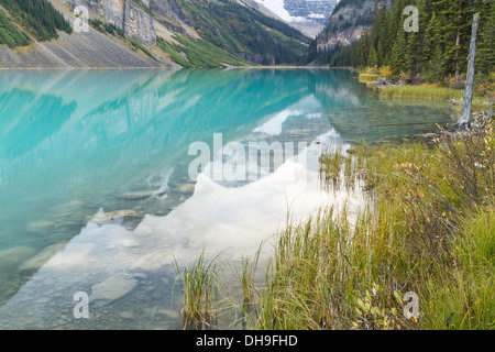 Montañas y glaciares se refleja en el idílico azure aguas glaciales y herbosos orillas del Lake Louise, Alberta, Canadá Foto de stock