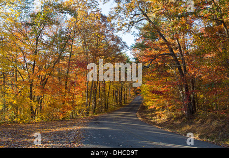 Esta imagen fue tomada en un día de otoño por la tarde en el Little River Canyon Parkway, Alabama Foto de stock