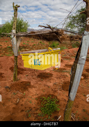 Colmena valla diseñado para disuadir a los elefantes africanos de asaltar los cultivos alrededor de los bordes del Parque Nacional Tsavo en Kenia Foto de stock