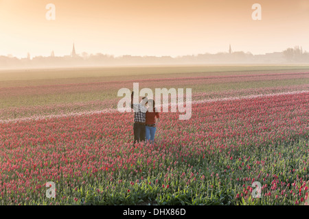 Países Bajos, Hillegom, Campo de tulipanes en la niebla de la mañana. Pareja de turistas tomando imagen