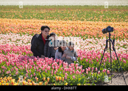 Países Bajos, Lisse, familia de Asia posando en el campo tulip Foto de stock