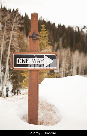 'One Way', la dirección de la flecha firmar en el post en Snowy Woods
