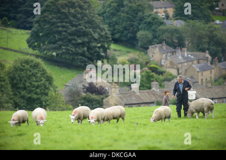 Maduro y nieto de agricultor alimentar las ovejas en el campo