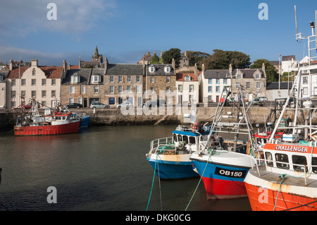 Los barcos de pesca en el puerto de Pittenweem, East Coast, Fife, Escocia, Reino Unido, Europa Foto de stock