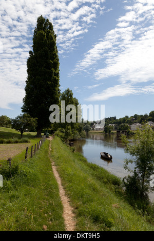 Amboise, Francia, en el verano mirando hacia abajo el río Loira con un barco y un árbol alto junto a la acera