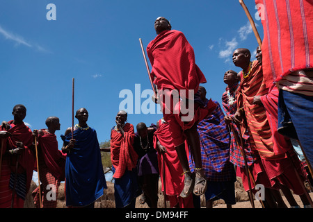 Un grupo de hombres Masai, tomando parte en la tradicional danza Adumu comúnmente conocida como el Salto de la danza en una ceremonia de mayoría de edad para jóvenes guerreros de la tribu maasai en el Área de Conservación de Ngorongoro Crater en la zona montañosa de Tanzania, África Oriental