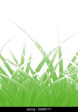 Hojas de hierba Ilustración del Vector