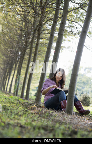 Mujer sentada bajo el árbol leyendo un libro Fotografía de stock Alamy