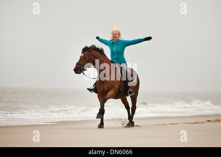 Mujer caballo freehand en un andaluz half-breed castrado, vistiendo un inglés, en la playa de herradura de Borkum, Baja Sajonia