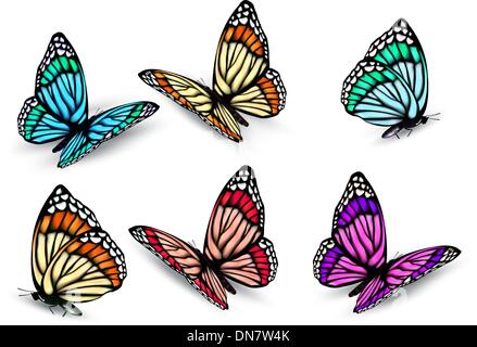 Conjunto de coloridas mariposas realistas. Vector