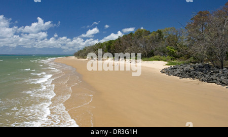 Su inmensa playa de arena con olas rompiendo en la playa de arena dorada y azul cielo en Hervey Bay, Queensland, Australia Foto de stock