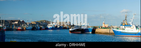 Los arrastreros de pesca de Howth Harbor, Condado de Dublín, Irlanda. Foto de stock