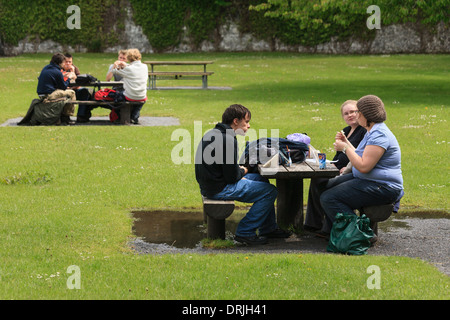 Los jóvenes disfrutando de un picnic en el sol en Coole Park en Irlanda Foto de stock