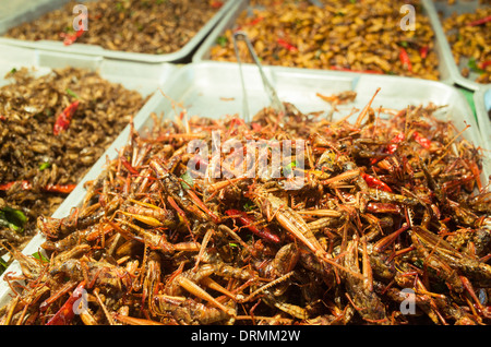 Snack insectos fritos como alimento en Bangkok, Tailandia. Foto de stock