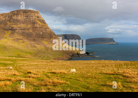 Una vista hacia Ramasaig Waterstein Head y acantilados, Moonen Bay, Isla de Skye, Inner Hebrides (Escocia, Reino Unido, Europa. Foto de stock