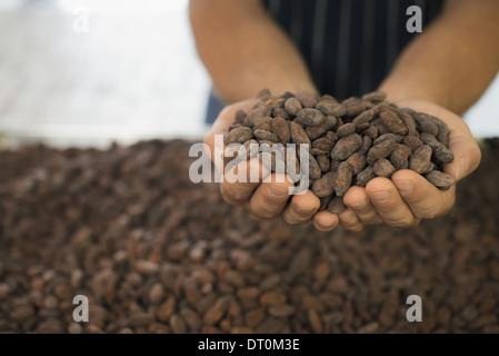 Nueva York, EE.UU. Woodstock chocolate orgánico persona de fabricación cocobean