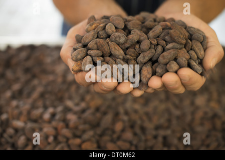 Nueva York, EE.UU. Woodstock chocolate orgánico persona de fabricación cocobean