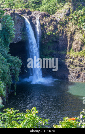 Rainbow Falls, Hilo, Hawaii Island (Isla Grande), Hawai, Estados Unidos de América, el Pacífico Foto de stock