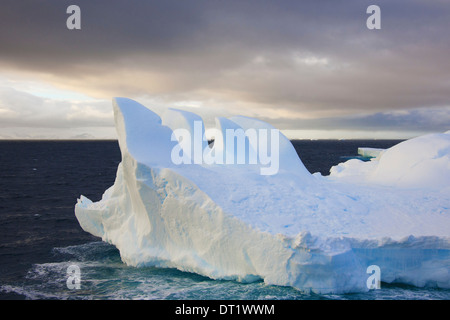 Icebergs flotando en el océano austral Antártico erosionada por el viento y el clima creando formas interesantes
