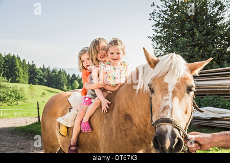 Tres jóvenes sentados en el caballo palomino