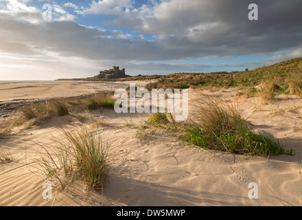 Las dunas de arena por encima de la playa de Bamburgh, Bamburgh Castle, en el fondo, Northumberland, Inglaterra.