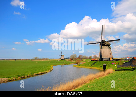 Tradicionales molinos de viento en el paisaje holandés en Holanda Foto de stock