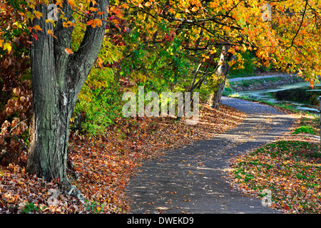 Un sendero peatonal junto a un lago en un día soleado en medio de los brillantes colores de otoño, Sharon Woods, Suroeste de Ohio, EE.UU. Foto de stock