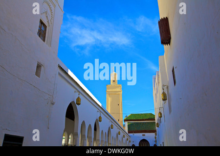 Tumba de Idriss 1, Moulay Idriss, Marruecos, Norte de África, África Foto de stock