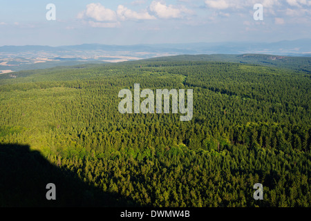 Parque Nacional Stolowe morbosos, Silesia, Polonia, Europa Foto de stock
