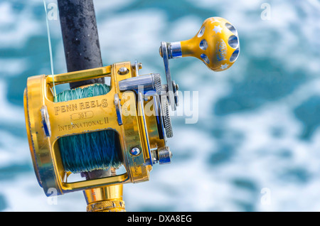 Modern Daiwa fishing reel and rod, Puerto Cabopino, Costa del Sol