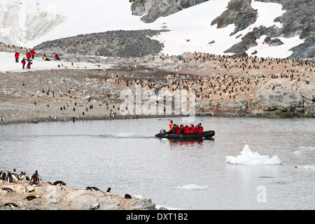 El turismo en la Antártida entre el paisaje de iceberg Antártico, glaciar, hielo y pingüino con turistas en zodiacs.