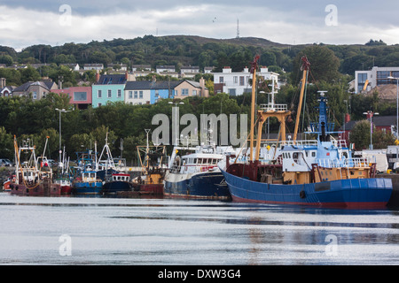 Los barcos de pesca en el puerto, Howth, Dublín con parte de Howth Head como fondo Foto de stock