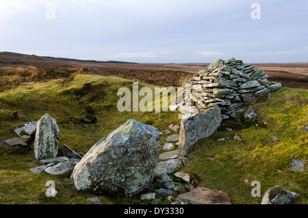 Restos de un prehistórico mojón largo sobre la Arqueología Yarrows Trail, Caithness, Escocia, Reino Unido Foto de stock