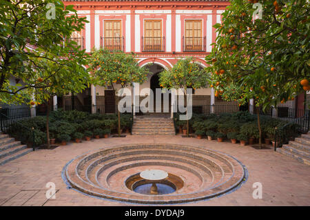 Amargo o Sevilla de naranjos (Citrus x aurantium) en el patio del Hospital de los Venerables Sacerdotes Foto de stock