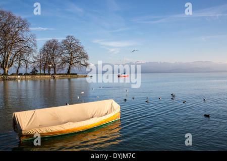 Dos Yates Del Lago Leman Lago De Ginebra En Invierno Gaviota En Primer Plano Los Barcos Son De La Clase Sorpresa Fotografia De Stock Alamy