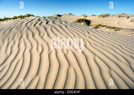 Soplan los vientos crean ondas artísticas en estas dunas de arena en la Isla Magdalena, en el océano Pacífico frente a la costa occidental de Baja California Sur de México. Foto de stock
