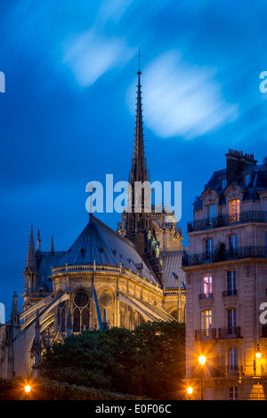Twilight vista de la catedral de Notre Dame y los edificios de Ile-de-la-Cite, París Francia Foto de stock