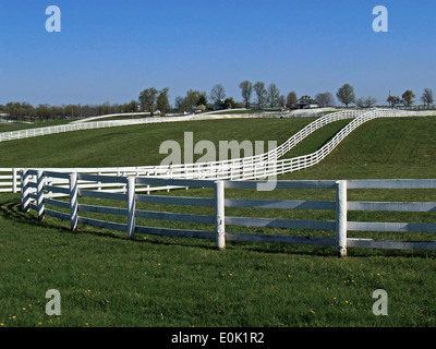 Tablón blanco cercas a lo largo de la Bluegrass Country Tour,Lexington, Kentucky Foto de stock